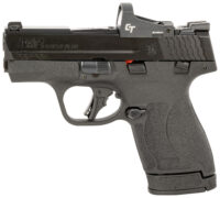 S&W*M&P SHLD+ 13951 9M MIC CMP CT RDDOT 10/13R BLK