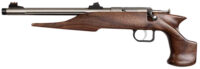 Chipmunk 40101 Hunter  Youth Frame 22 S/L/LR Single Shot 9" Threaded Stainless Steel Barrel, Walnut Frame, EZ Loader