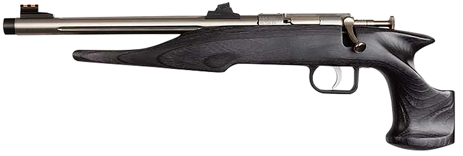 Chipmunk 40103 Hunter Youth Frame 22 LR Single Shot 9" Threaded Stainless Steel Barrel, Black Laminate Frame