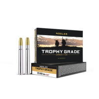 Nosler 40608 Trophy Grade Safari  375H&HMag 300gr Nosler Solid 20 Per Box/10 Case