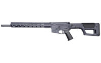 RISE WATCHMANXR .22ARC 18" 10RD GRAY