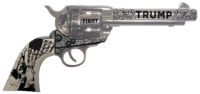 Traditions SAT73132FT 1873  45 Long Colt 6rd 5.50" Nickel White PVC Grip