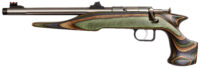 Chipmunk 41105 Hunter Adult 22 Mag 1rd 9" Threaded Stainless Steel Single Shot Barrel, Camo Laminate Stock