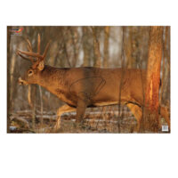 Birchwood Casey 37481 EZE-Scorer Whitetail Deer Paper Hanging 23" x 35" Multi-Color 2 Per Pkg
