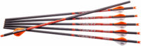 Ravin Crossbows R138 Arrows  400GR .003" 6 Pack