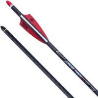 Tenpoint CenterPunch HPX Carbon Arrows 20'' w/ Alpha-Nock HPX .001''