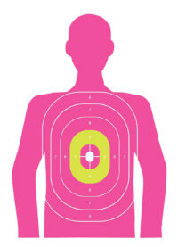 EZ-Aim 15646 In the Pink  Paper Works w/Handgun/Shotgun/Airsoft Gun/BB Guns/Pellet Gun 12 x 18 Pink 8 Pack