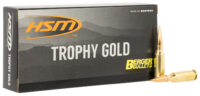 HSM 6ARC95VLD Trophy Gold Extended Range 6mm ARC 95 gr 20 Per Box/ 25 Case