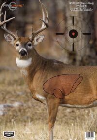 Birchwood Casey Pregame Targets - Deer 16.5"x24" 3 Pack