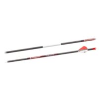 Bloodsport Punisher Arrow 350 Spine 6/pk